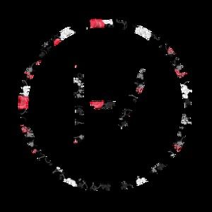 Meet your Posher, Noodle